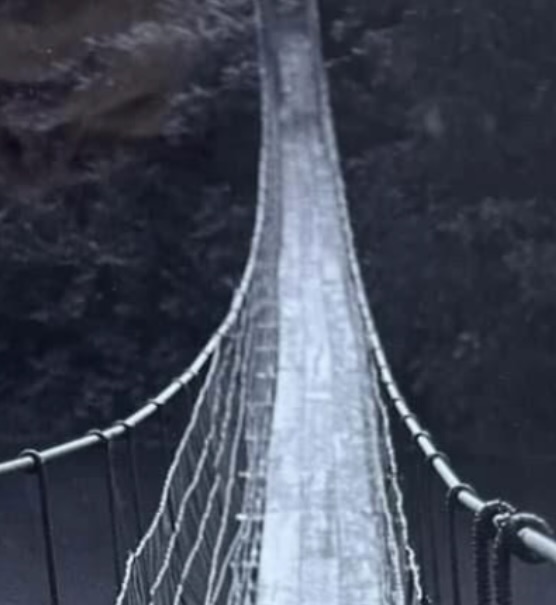 black and white image of a swinging bridge over a river