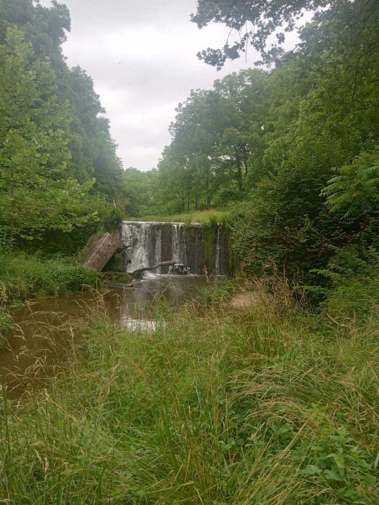 a valley with a small waterfall surrounded by trees and a river